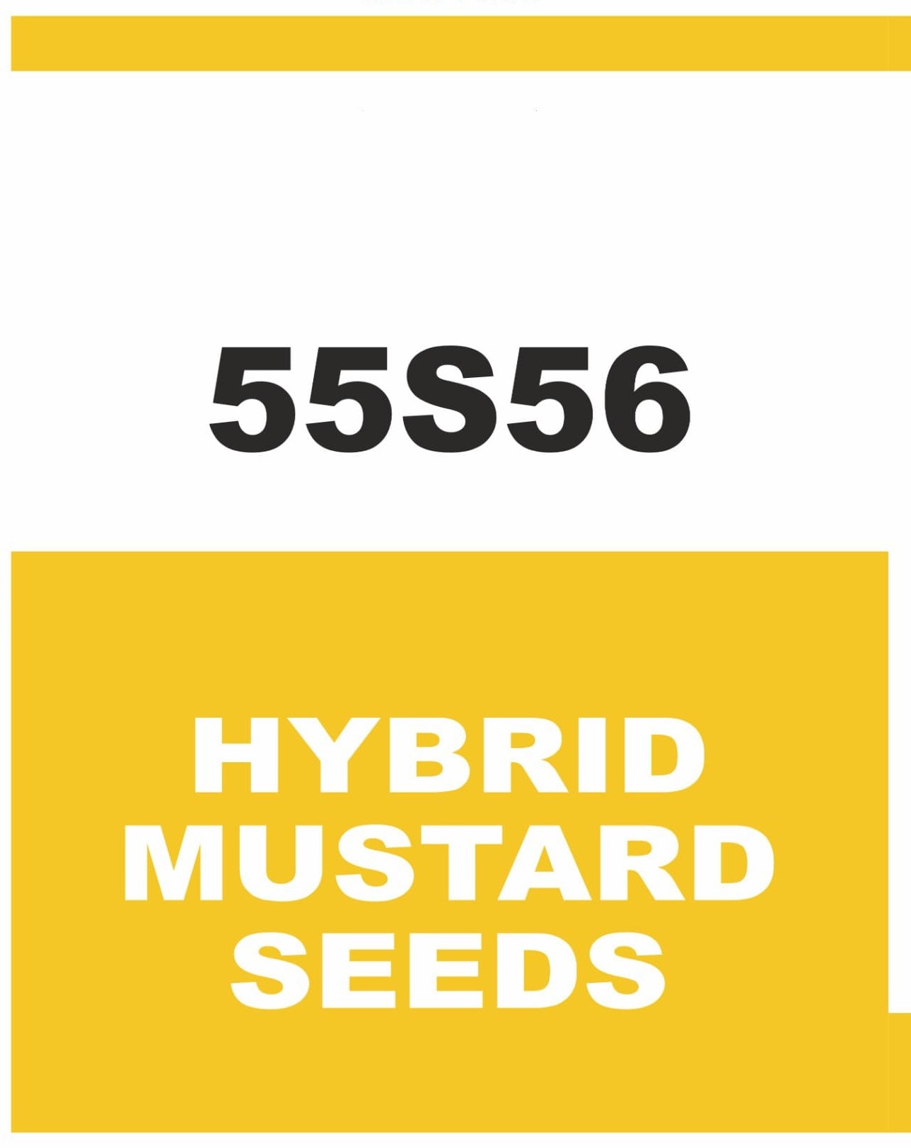 Hybrid-Musturd-Seeds 2