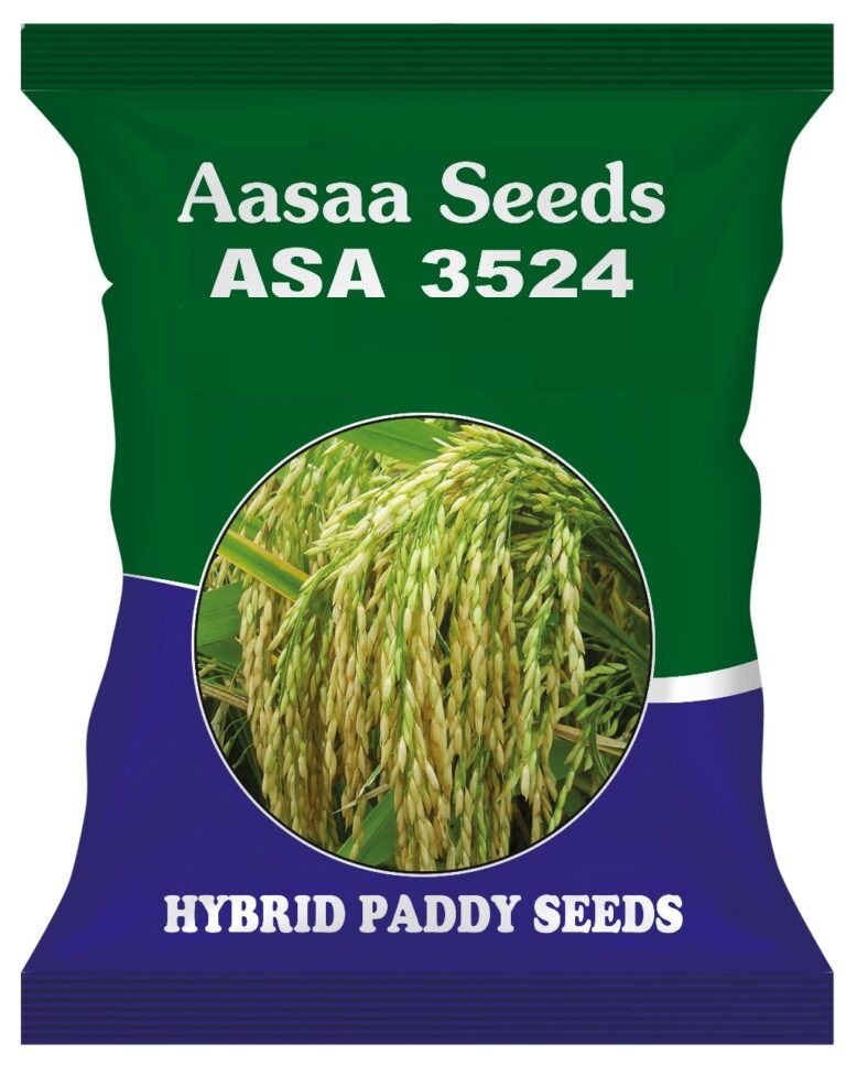Hybrid-Paddy-Seeds-5