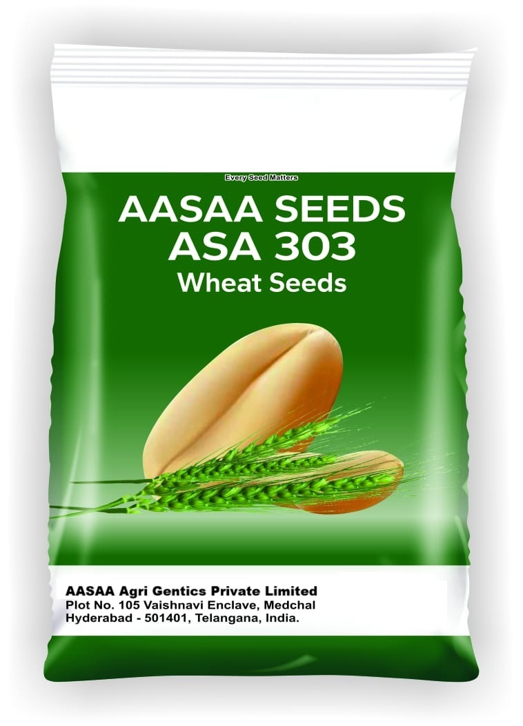 Hybrid-Wheat-Seeds-3